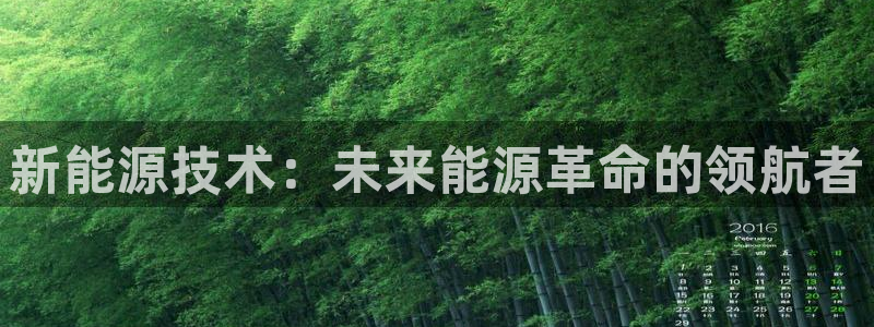 新宝GG网页:新能源技术:未来能源革命的领航者