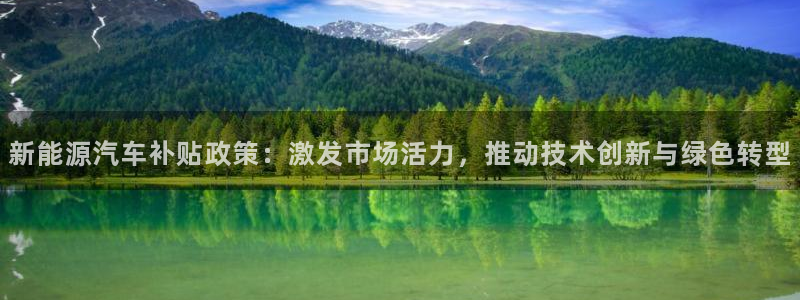 新宝gg扣钱:新能源汽车补贴政策:激发市场活力,推动技术创新