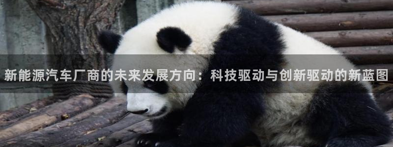 新宝gg 金苹果:新能源汽车厂商的未来发展方向:科技驱动与创