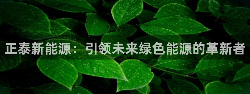 新宝gg娱乐-上鼎狐网