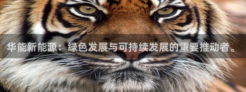 新宝gg网赚