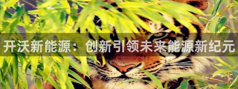 新宝gg网址