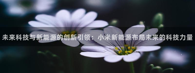 新宝gg—创造