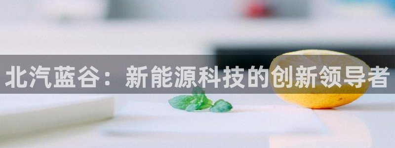 新宝gg推荐