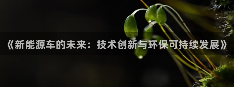 新宝gg平台开发