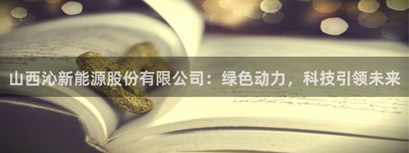 新宝GG耳78778：山西沁新能源股份有