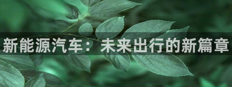 新宝GG速度：新能源汽车：未来出行的新篇