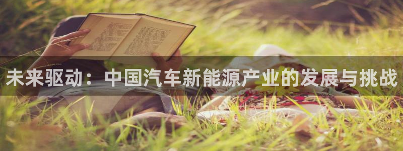 新宝娱gg：未来驱动：中国汽车新能源产业