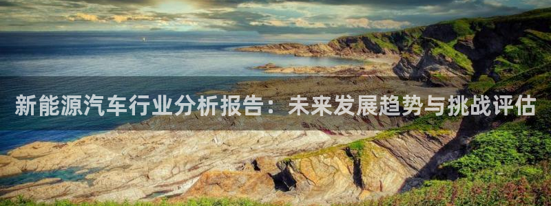 新宝gg招商42873：新能源汽车行业分