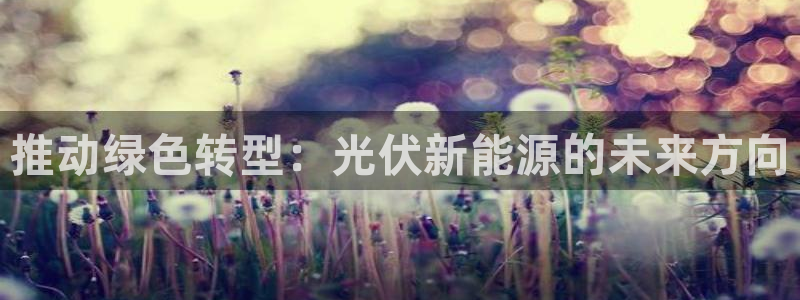 新宝GG冰冰:推动绿色转型:光伏新能源的未来方向