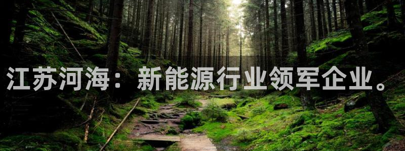 新宝gg dengludizhi:江苏河海:新能源行业领军企