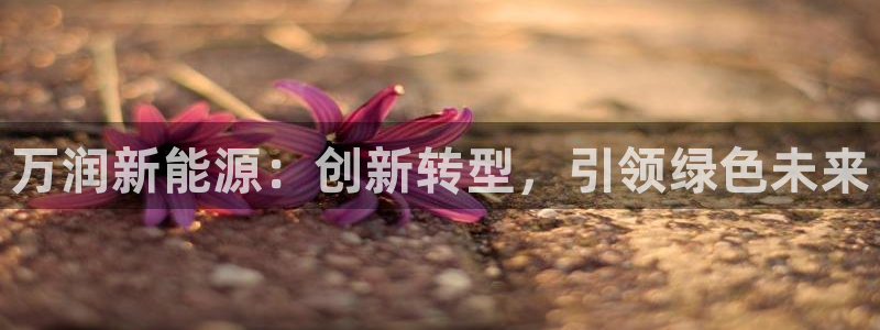 新宝gg如何注册:万润新能源:创新转型,引领绿色未来