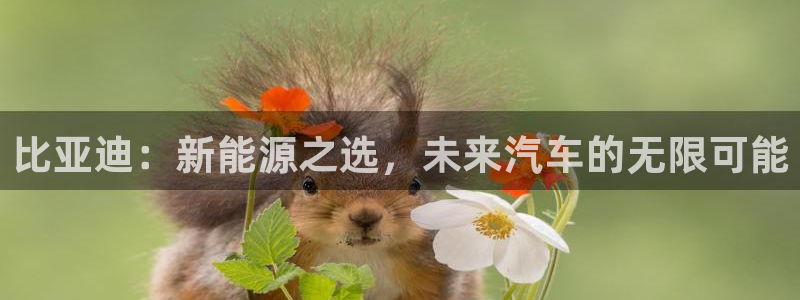 新宝gg 登录页面:比亚迪:新能源之选,未来汽车的无限可能