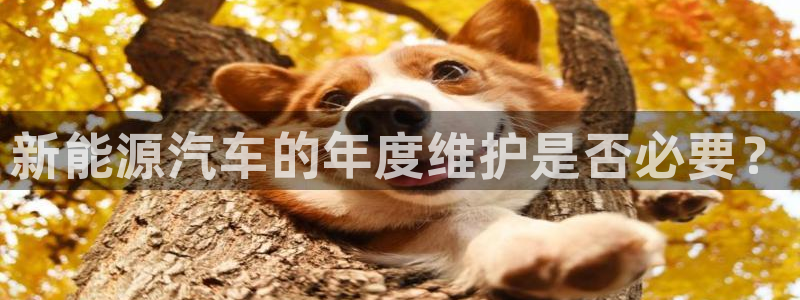 新宝gg怎么样:新能源汽车的年度维护是否必要?