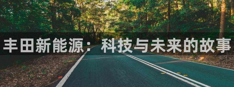 广东新宝电器gg:丰田新能源:科技与未来的故事