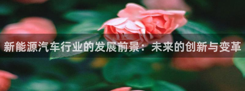 新宝.gg:新能源汽车行业的发展前景:未来的创新与变革