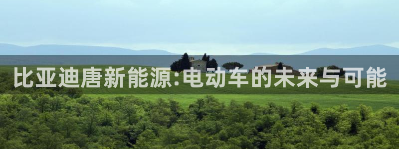 新宝GG上级:比亚迪唐新能源:电动车的未来与可能