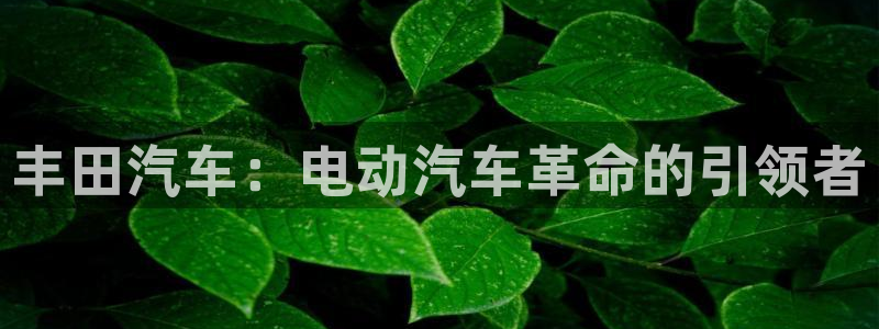 新宝gg联系:丰田汽车:电动汽车革命的引领者