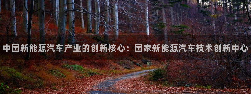 新宝gg挚243553:中国新能源汽车产业的创新核心:国家新
