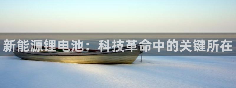 新宝gg入口网址