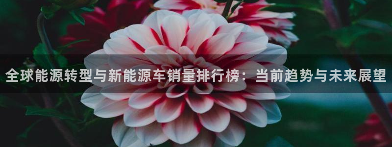 新宝gg登录链接:全球能源转型与新能源车销量排行榜:当前趋势