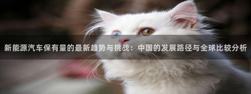 新宝gg游戏平台