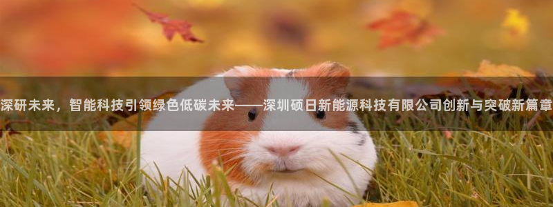 新宝gg网：深研未来，智能科技引领绿色低