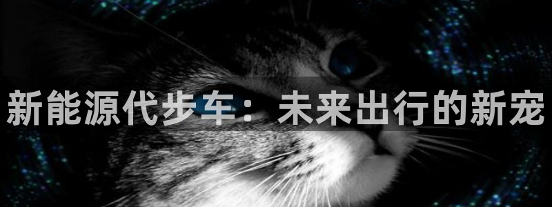 新宝gg金砖彩票:新能源代步车:未来出行的新宠