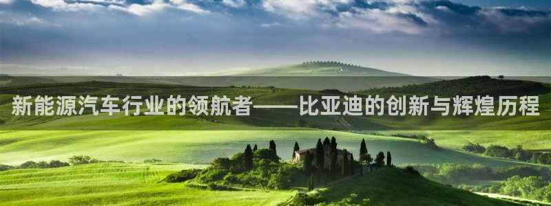 新宝GG网页:新能源汽车行业的领航者——比亚迪的创新与辉煌历