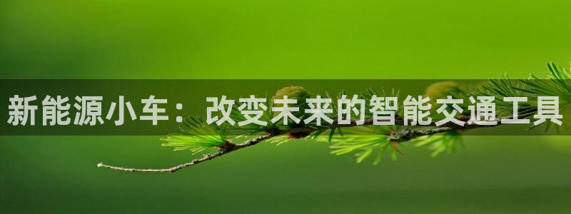 新宝gg -创造:新能源小车:改变未来的智能交通工具