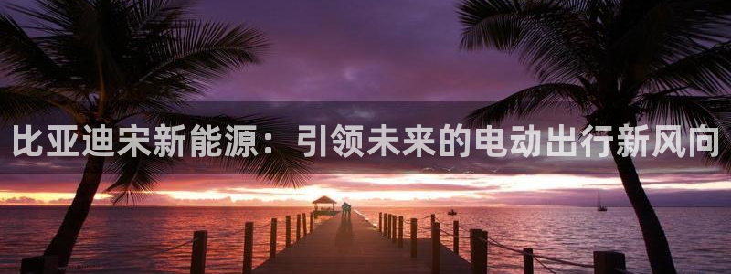 新宝一GG:比亚迪宋新能源:引领未来的电动出行新风向