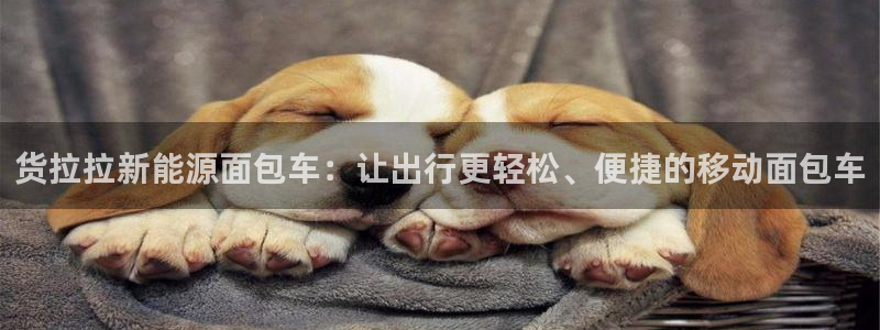 新宝gg网站:货拉拉新能源面包车:让出行更轻松、便捷的移动面