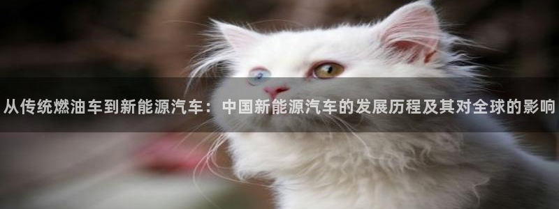 宝新gg:从传统燃油车到新能源汽车:中国新能源汽车的发展历程