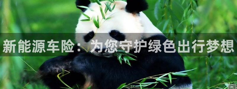 新宝gg域:新能源车险:为您守护绿色出行梦想