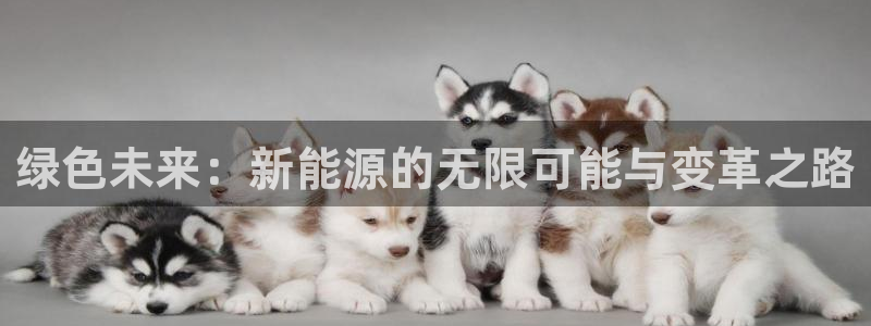 新宝gg 502:绿色未来:新能源的无限可能与变革之路