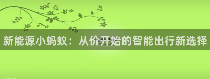 宝GG账78778新宝GG俪78778:新能源小蚂蚁:从价开
