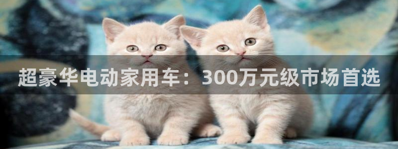 注册新宝gg:超豪华电动家用车:300万元级市场首选
