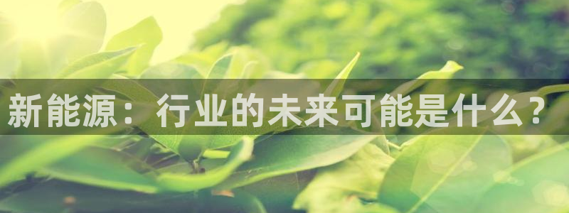 新宝gg 创造奇迹:新能源:行业的未来可能是什么?
