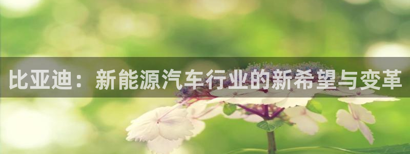 正版新宝gg:比亚迪:新能源汽车行业的新希望与变革