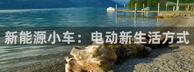 新宝gg 52360:新能源小车:电动新生活方式