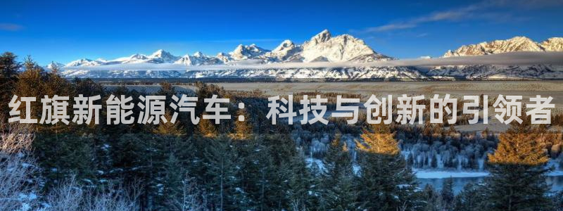 新宝gg登录新:红旗新能源汽车:科技与创新的引领者