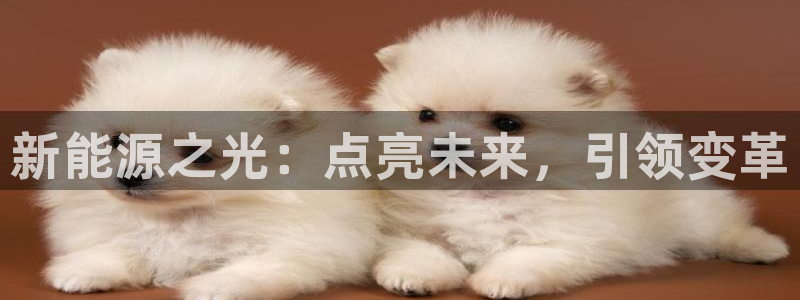 新宝gg挚243553:新能源之光:点亮未来,引领变革