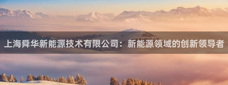 新宝gg资料:上海舜华新能源技术有限公司:新能源领域的创新领