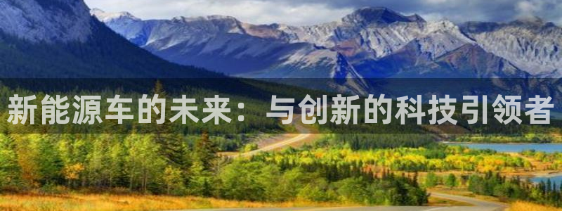 新宝gg账户注册:新能源车的未来:与创新的科技引领者