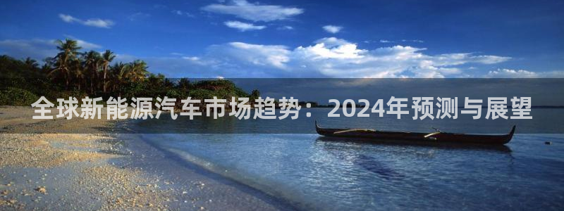 新宝GG氯78778:全球新能源汽车市场趋势:2024年预测