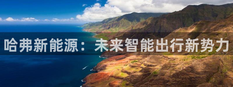 新宝gg平台开户:哈弗新能源:未来智能出行新势力