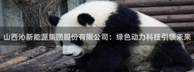 新宝gg直属:山西沁新能源集团股份有限公司:绿色动力科技引领