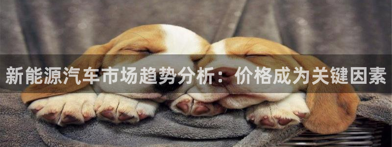 xbgg新宝gg：新能源汽车市场趋势分析