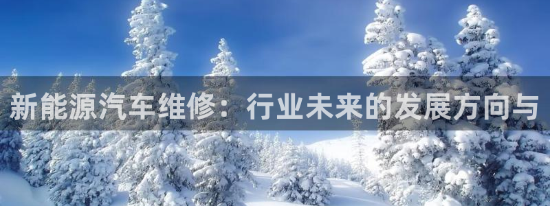 正版新宝gg：新能源汽车维修：行业未来的