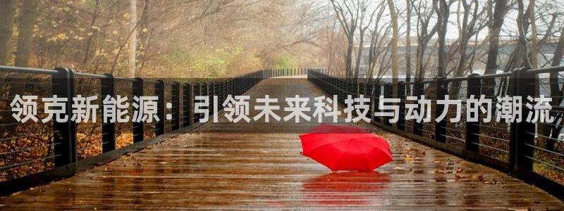 新宝gg6娱乐注册网址：领克新能源：引领